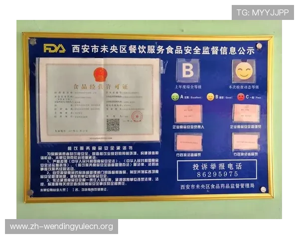 问鼎平台下载入口官方网站的安全保障措施有哪些，保障用户游戏体验安全