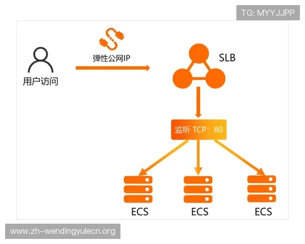 问鼎网址登录线路可靠性分析确保网站持续稳定运行